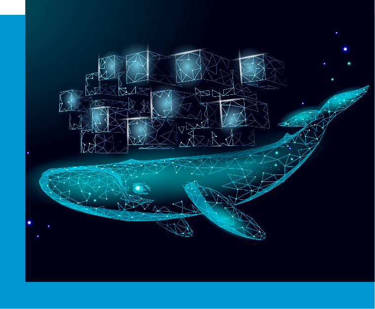 Docker Container Platform