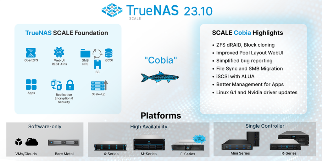 TrueNAS SCALE Cobia 23.10 showcasing storage and networking features
